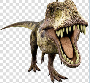 Dinosaur Transparent   Dinosaurus T Rex Png  Png Download