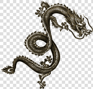 Wei Shen Tatt Dragon Tattoo Arm  Chinese Dragon Tattoos    Wei Shen Sleeping Dogs Tattoos  HD Png Download