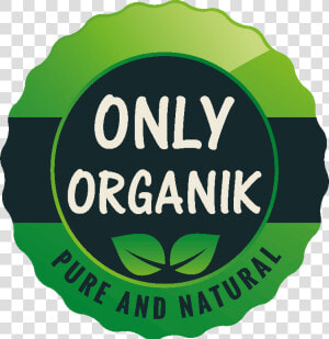 Only Organik   Sugar The Hedgehog  HD Png Download