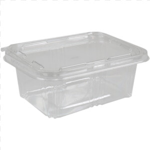 Container  Pet  1000cc  Salad Container    Box  HD Png Download