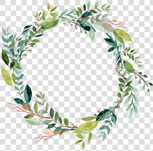 Leaves Vector Ring   Watercolor Leaves Frame Png  Transparent Png