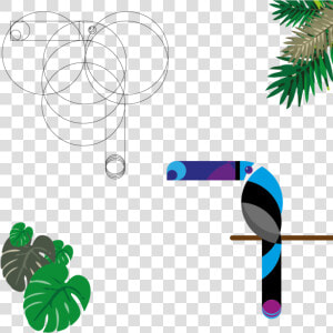 Tucan 2 08   Png Download  Transparent Png
