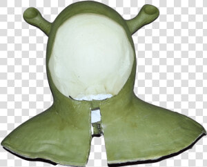 Keep Up With The Latest From Dlo   Tortoise  HD Png Download