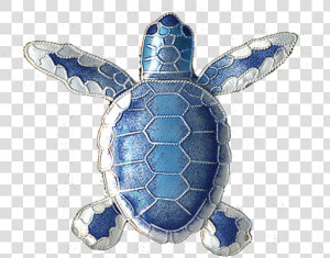 Flatback Hatchling Pin  HD Png Download