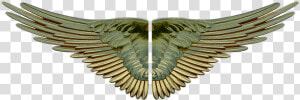 Gilded Wings Png  Transparent Png
