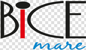 Bice Mare Restaurant Dubai  HD Png Download