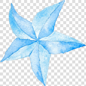 Star Lanterns  HD Png Download