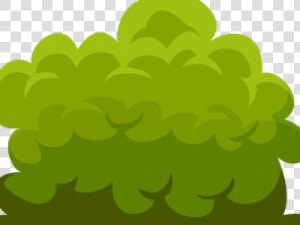 Shrub   Png Download   Illustration  Transparent Png