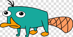 Discover Ideas About Pet Platypus  HD Png Download
