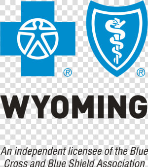 Blue Cross Blue Shield Logo Png  Transparent Png
