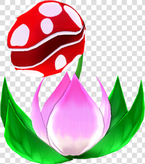 Nep   Tulip  HD Png Download