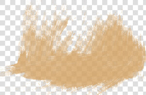 Still Life  HD Png Download