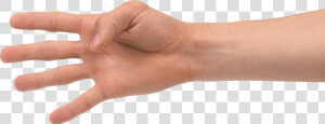 Four Finger Hand   Transparent 4 Finger Hand Png  Png Download