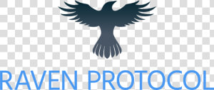 Raven Protocol Logo Png  Transparent Png