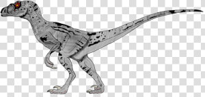 Velociraptor  HD Png Download