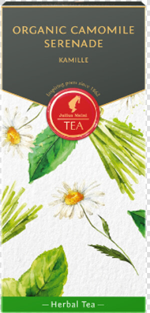 Camomile  HD Png Download