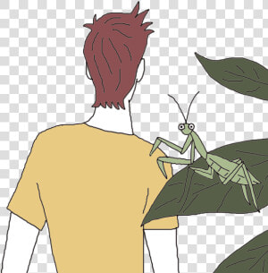 Mantis   Cartoon  HD Png Download