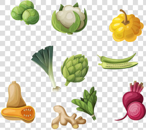 Okra Clipart Letsugas   All Different Vegetables  HD Png Download