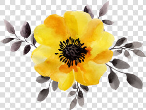 Transparent Watercolor Flower Clipart   Transparent Yellow Watercolor Flowers  HD Png Download