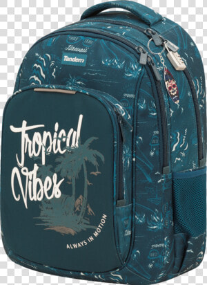 Hand Luggage  HD Png Download