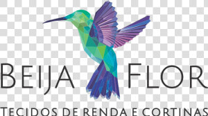 Beija Flor   Hummingbird  HD Png Download