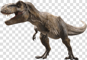 Trex Png Scar   Jurassic World Fallen Kingdom T Rex Png  Transparent Png