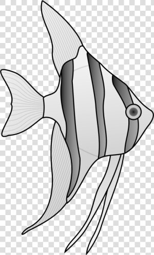 Clip Art Collection Of Free Angelfish  HD Png Download