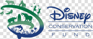 Disney Conservation Fund  HD Png Download