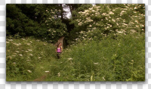 Dublin Mountains Walk  HD Png Download