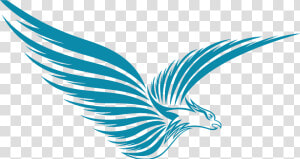 Blue Vector Logo   Coraciiformes  HD Png Download