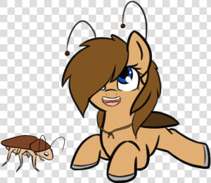 Roach Pony  HD Png Download