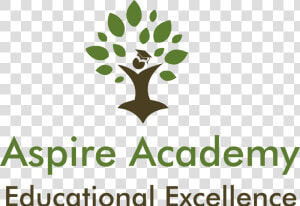Aspire Academy Logo  HD Png Download