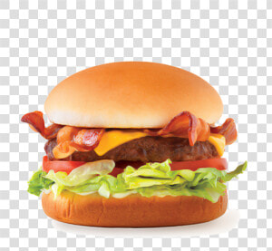 Transparent Burger Clipart   Chicken Mexican Burger Png  Png Download