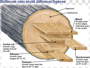 Wooden Log Png Straight On   Wood Grain Cathedral  Transparent Png