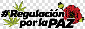 Paz  HD Png Download