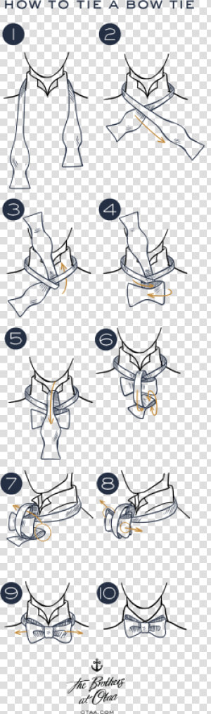 How To Tie A Bow Tie   Cartoon  HD Png Download