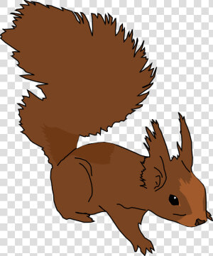 Medium Image Png   Squirrel Clip Art  Transparent Png