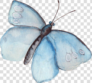 Transparent Wound Clipart   Watercolor Butterflies Clip Art  HD Png Download