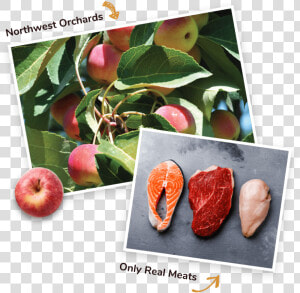 Real Meats And Fruits   Apple  HD Png Download