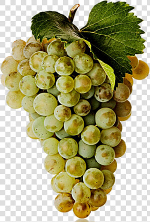 Seedless Fruit  HD Png Download