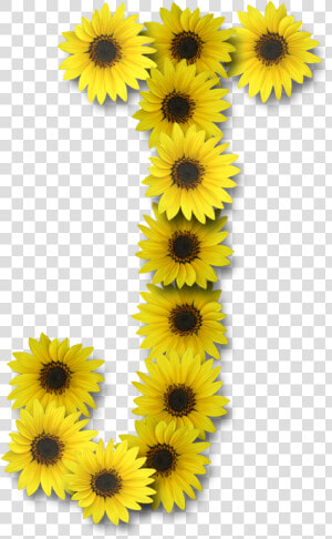 Sunflower Letter J  HD Png Download