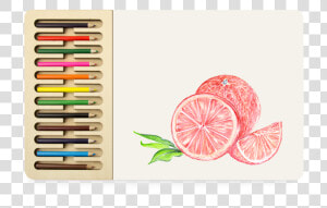 Pomelo  HD Png Download