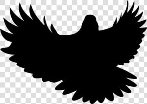 Bird  Wings  Pen  Flight  Nature  Wild Birds   Illustration  HD Png Download