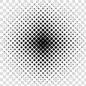 Symmetry monochrome Photography tree   Norges Padleforbund  HD Png Download