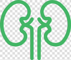 Ayurveda Upachar Kendra   Clip Art Of Kidney In Black And White  HD Png Download