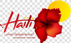 Haiti Png  Transparent Png
