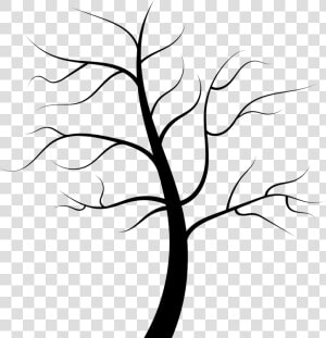 Line Art plant flora   Tree No Leaves Black And White  HD Png Download