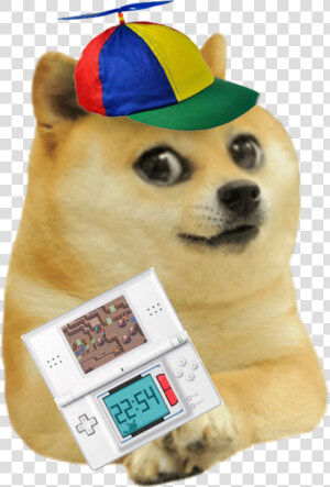 Reddit Said Im Not The Asshole  HD Png Download