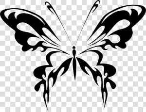 Butterfly Line Art 10 Clip Arts   Gambar Hitam Putih Kupu Kupu  HD Png Download
