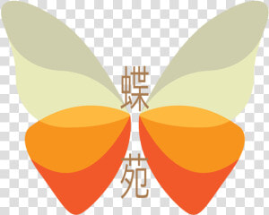 Net winged Insects  HD Png Download